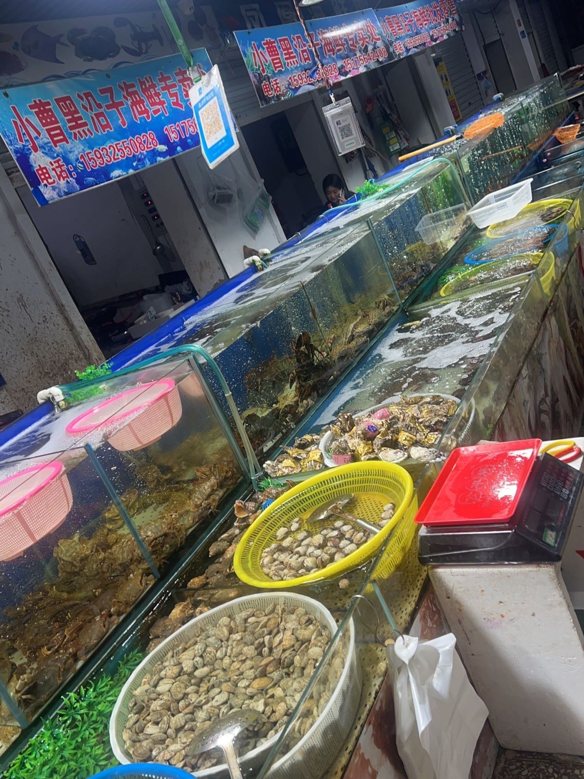 小曹黑沿子海鲜批fa零售