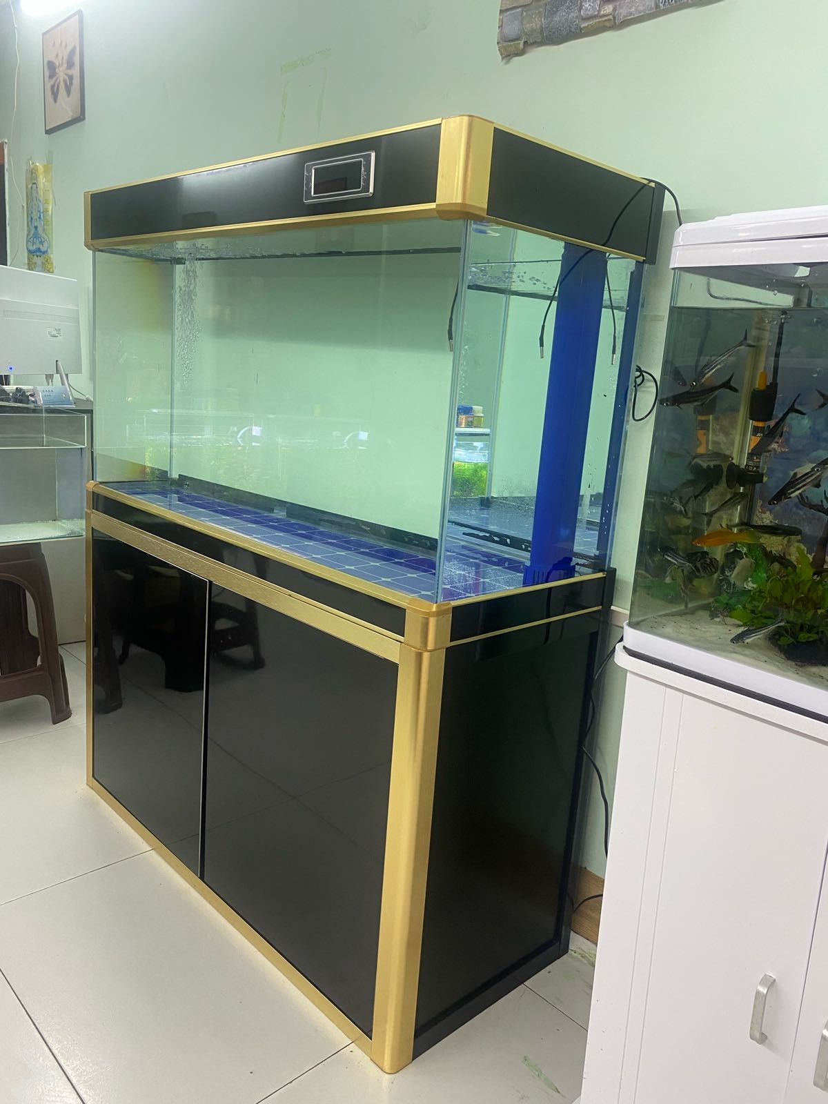 花开水族鱼缸定制(体育路店)