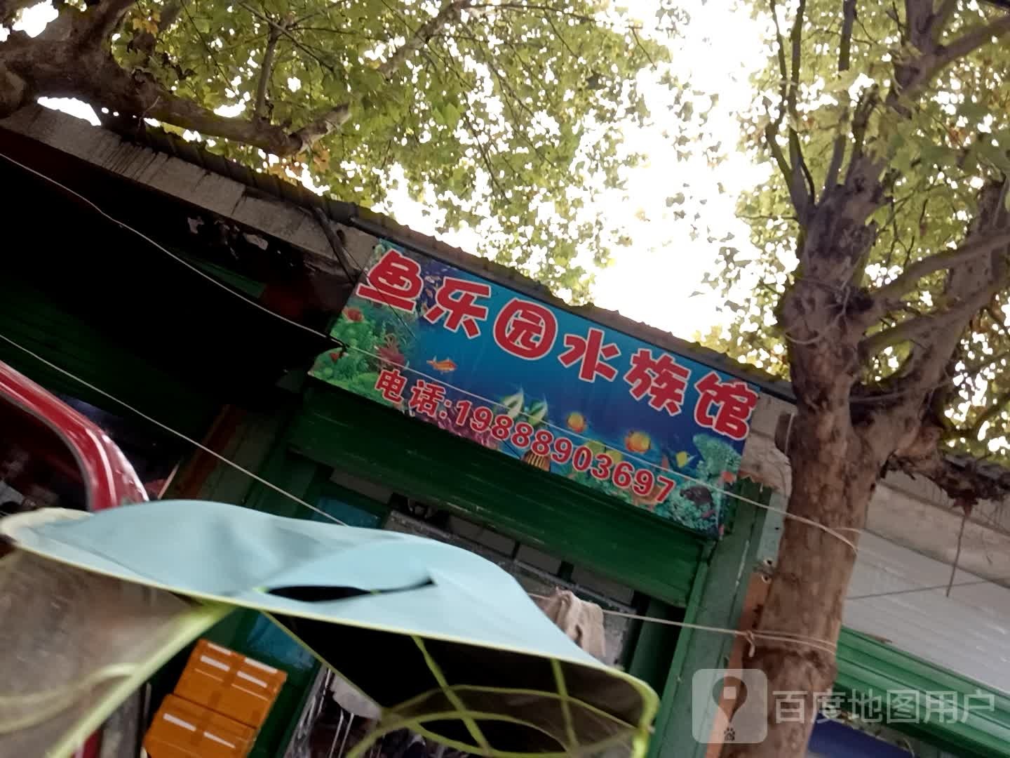 鱼乐园水族馆(兴庆路店)