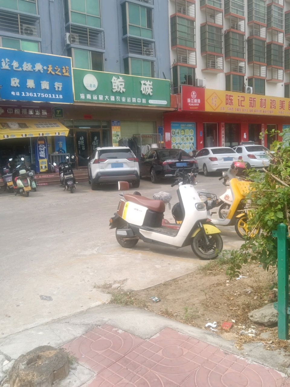 陈记新村鸡美食园