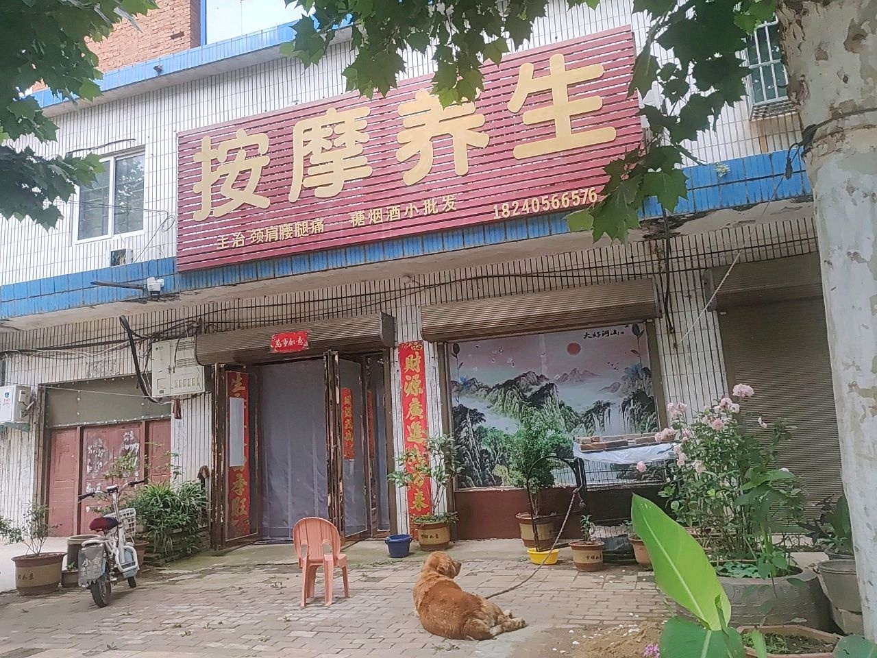 按摩养生环境