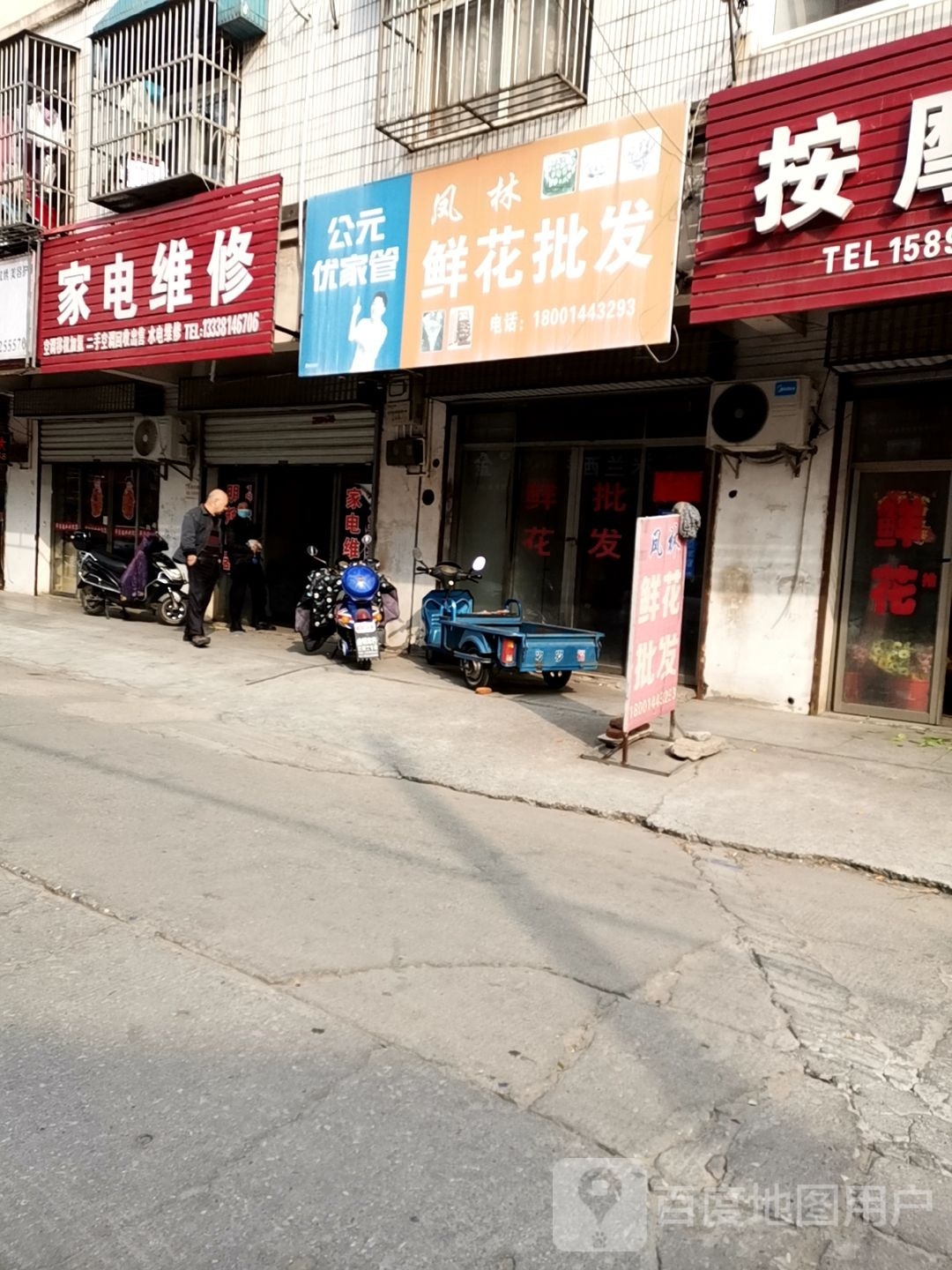 凤林鲜花批发