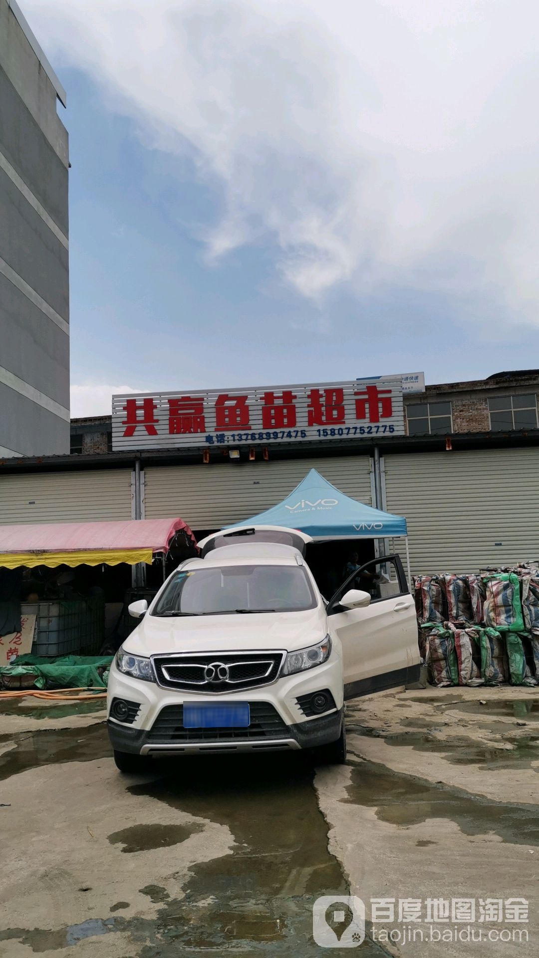 共赢鱼苗超市