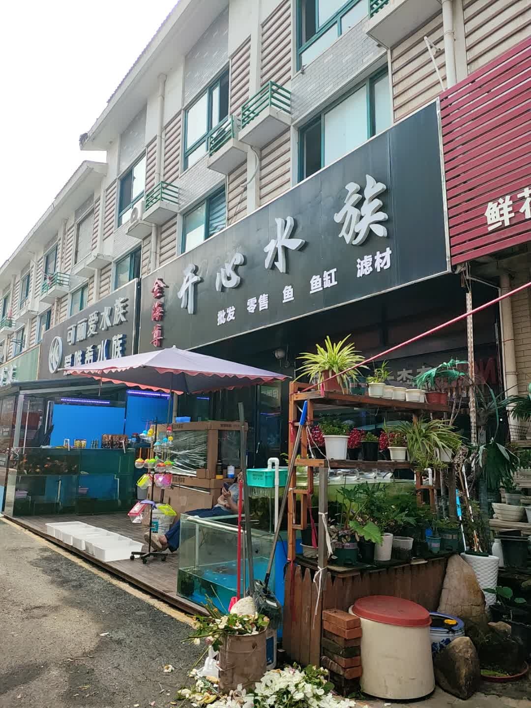 金海尊开心水族