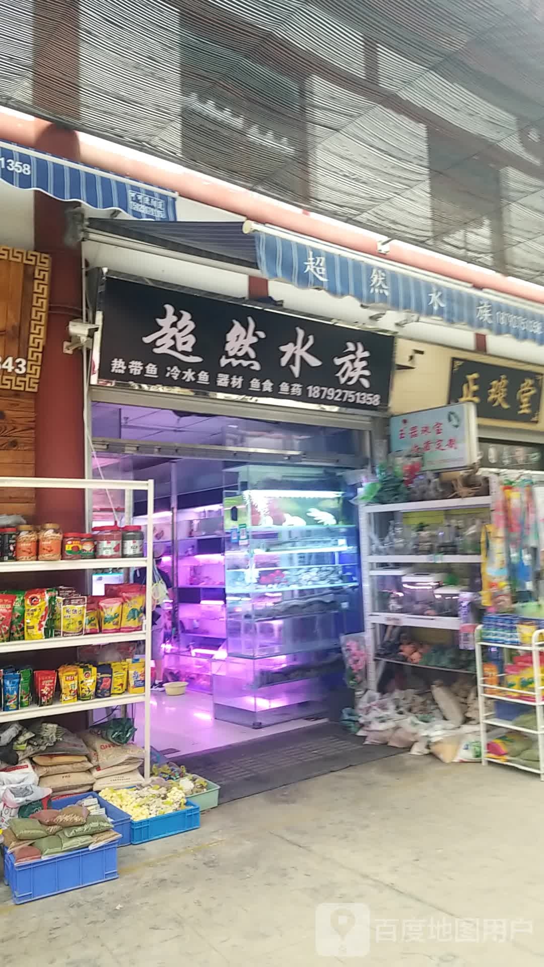 超然水族
