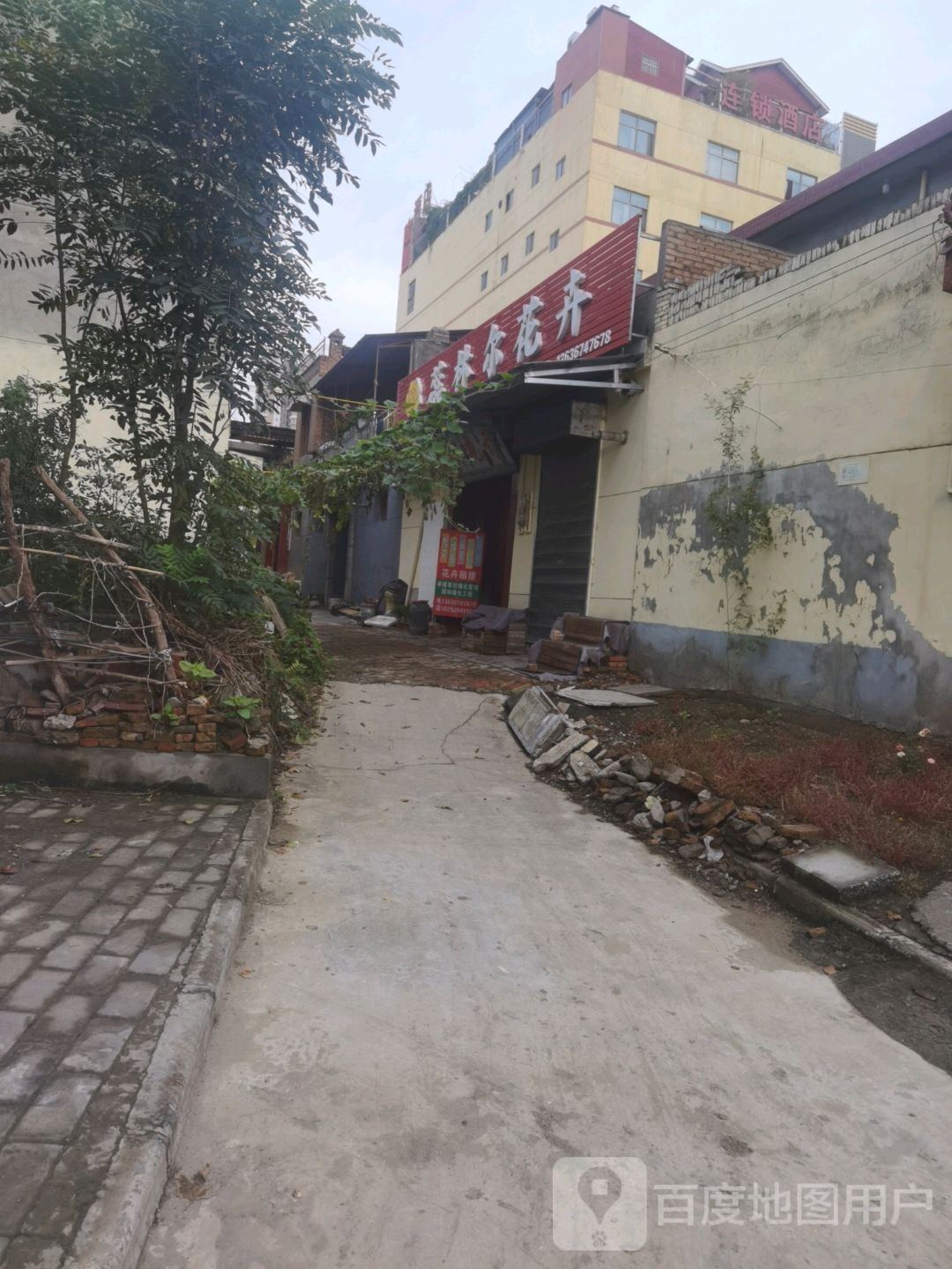 蕊林尔花卉