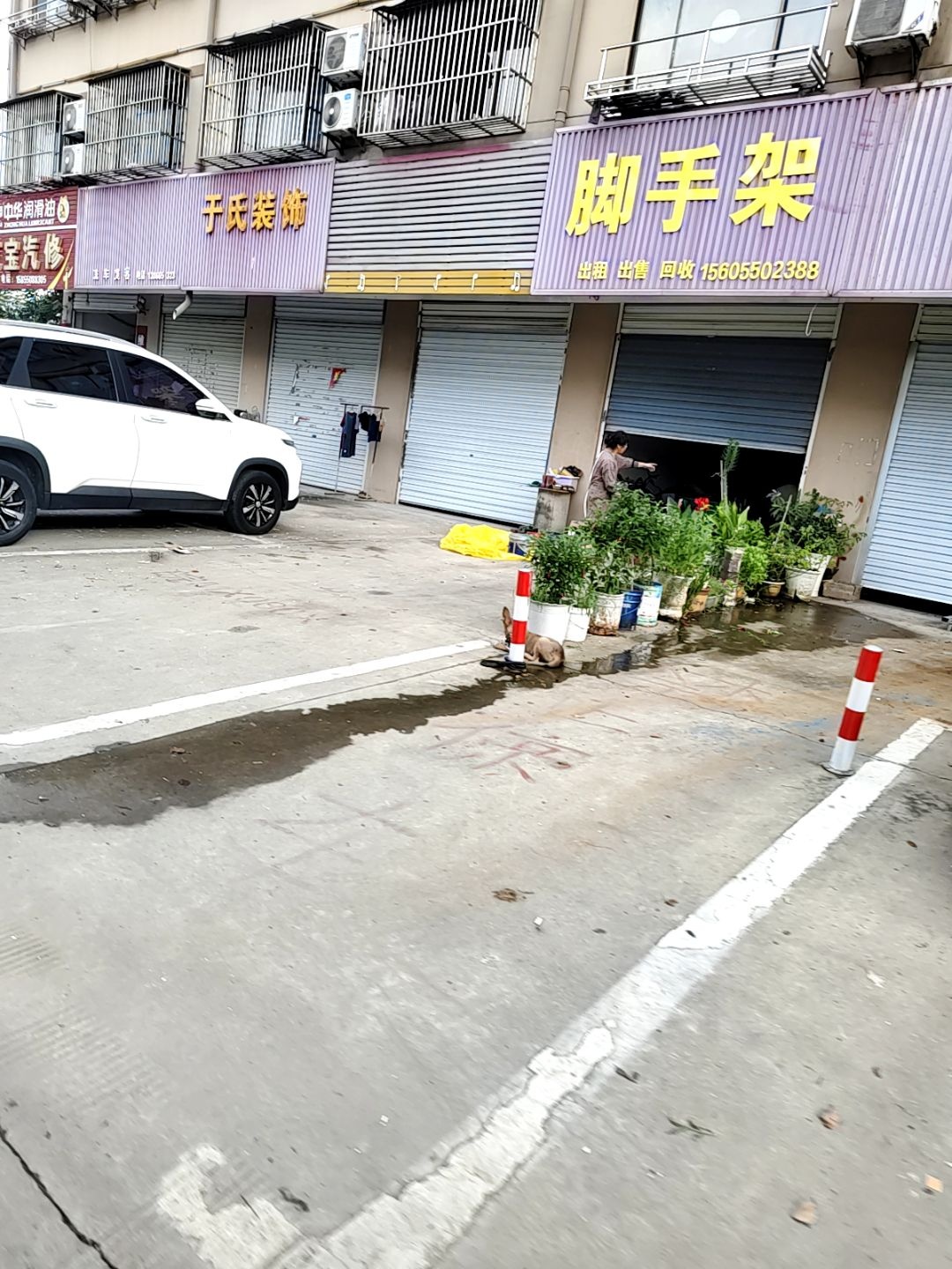 脚手架