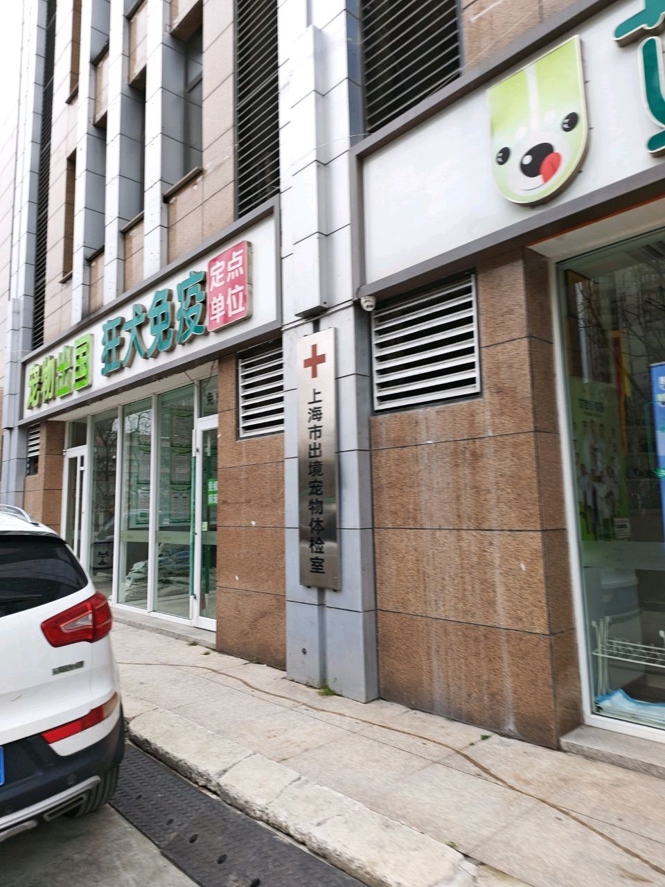 上海市出境宠物体检室