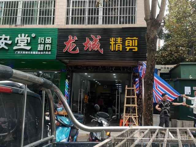 精龙巨星时尚造型(振兴路店)