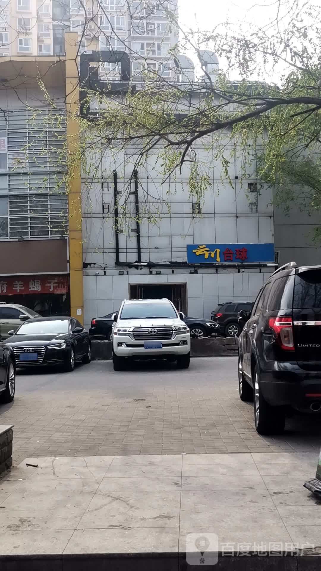 云川太球棋牌(动物园交大店)
