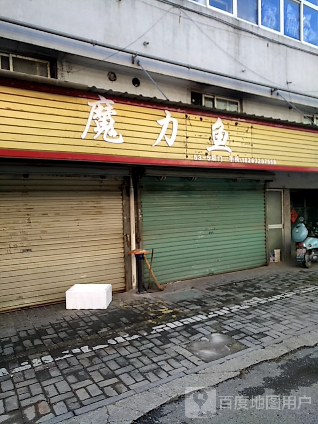 魔力鱼
