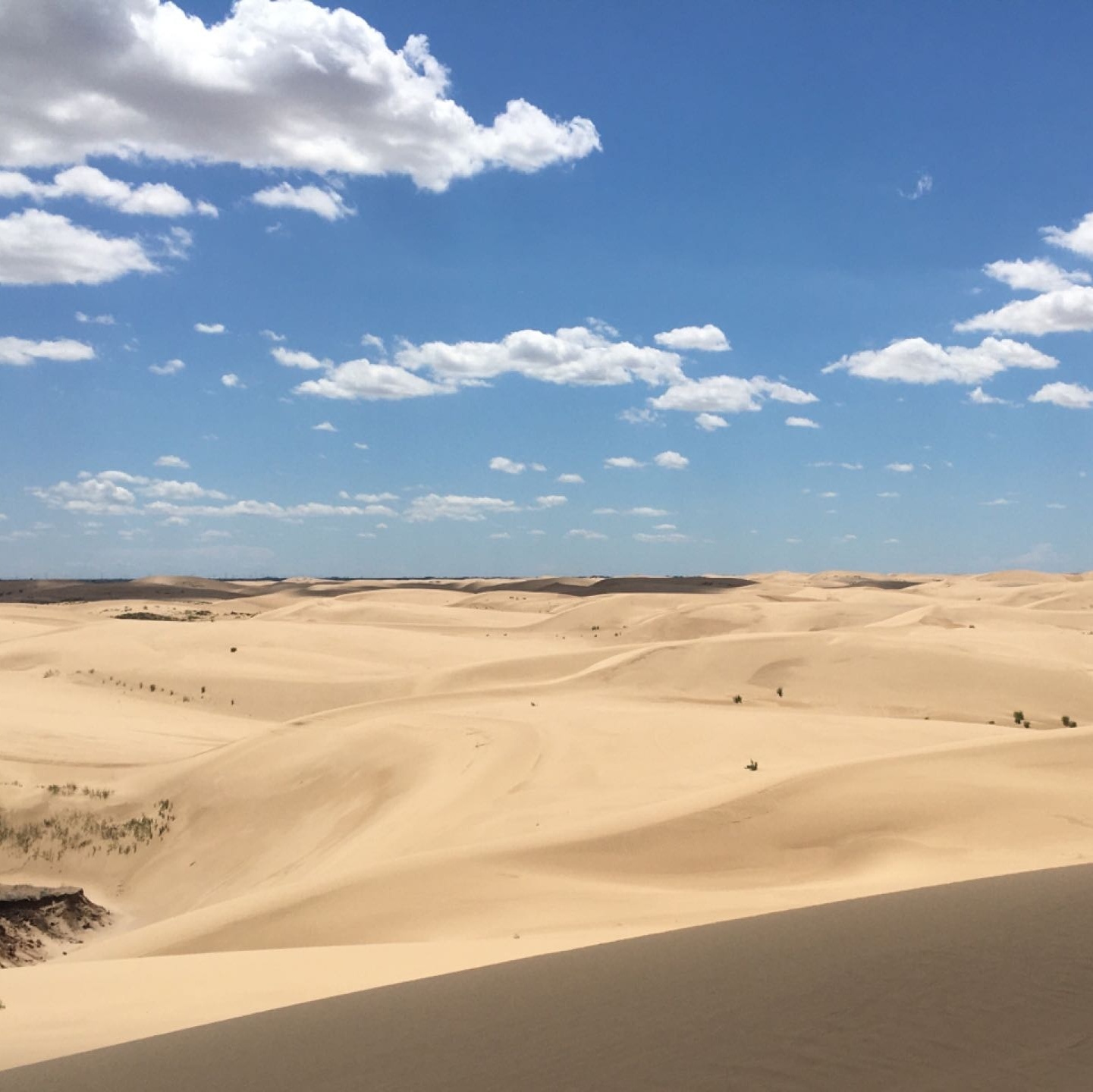 奈曼旗宝古图沙漠旅游区