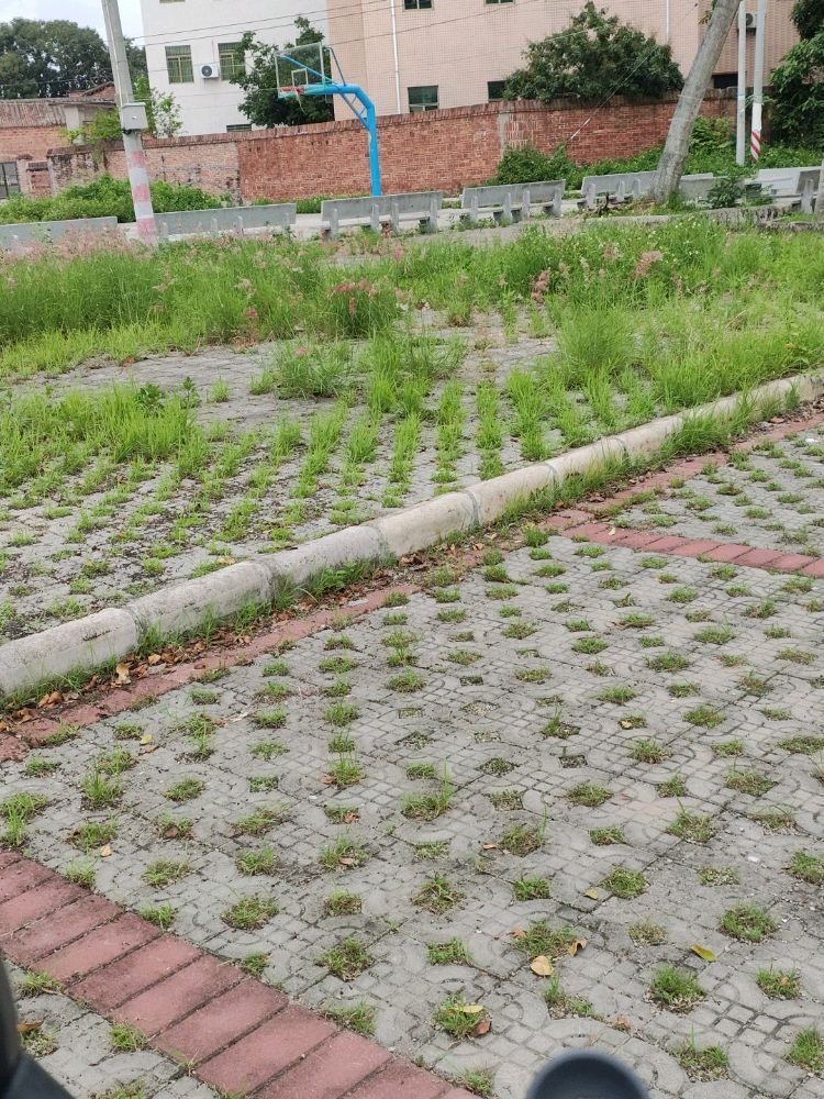 莲花新村蓝球场