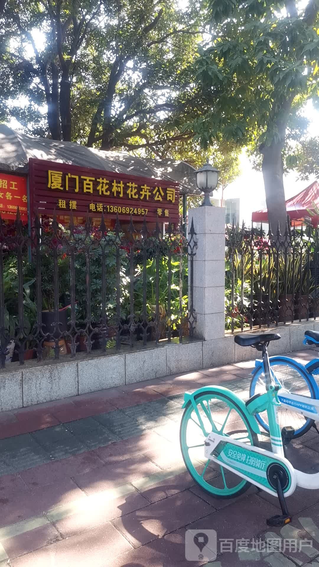 厦门百花村鲜花绿植