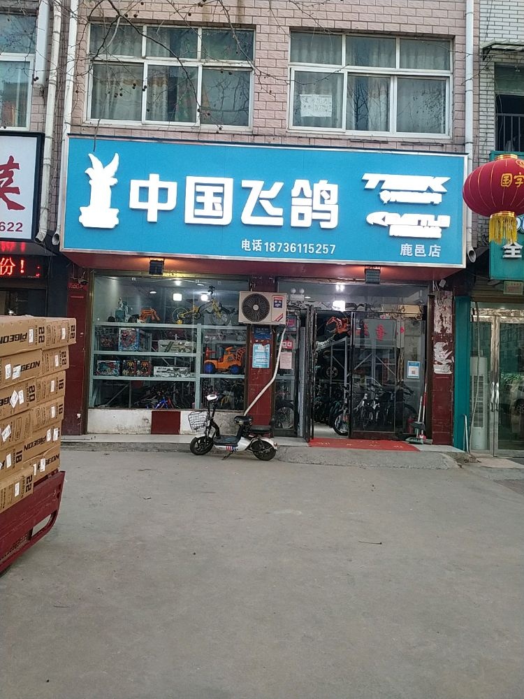 鹿邑县中国飞鸽(紫气大道店)