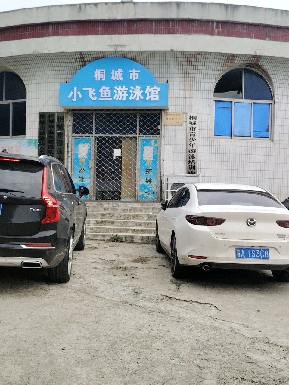 桐城市小飞鱼游泳馆