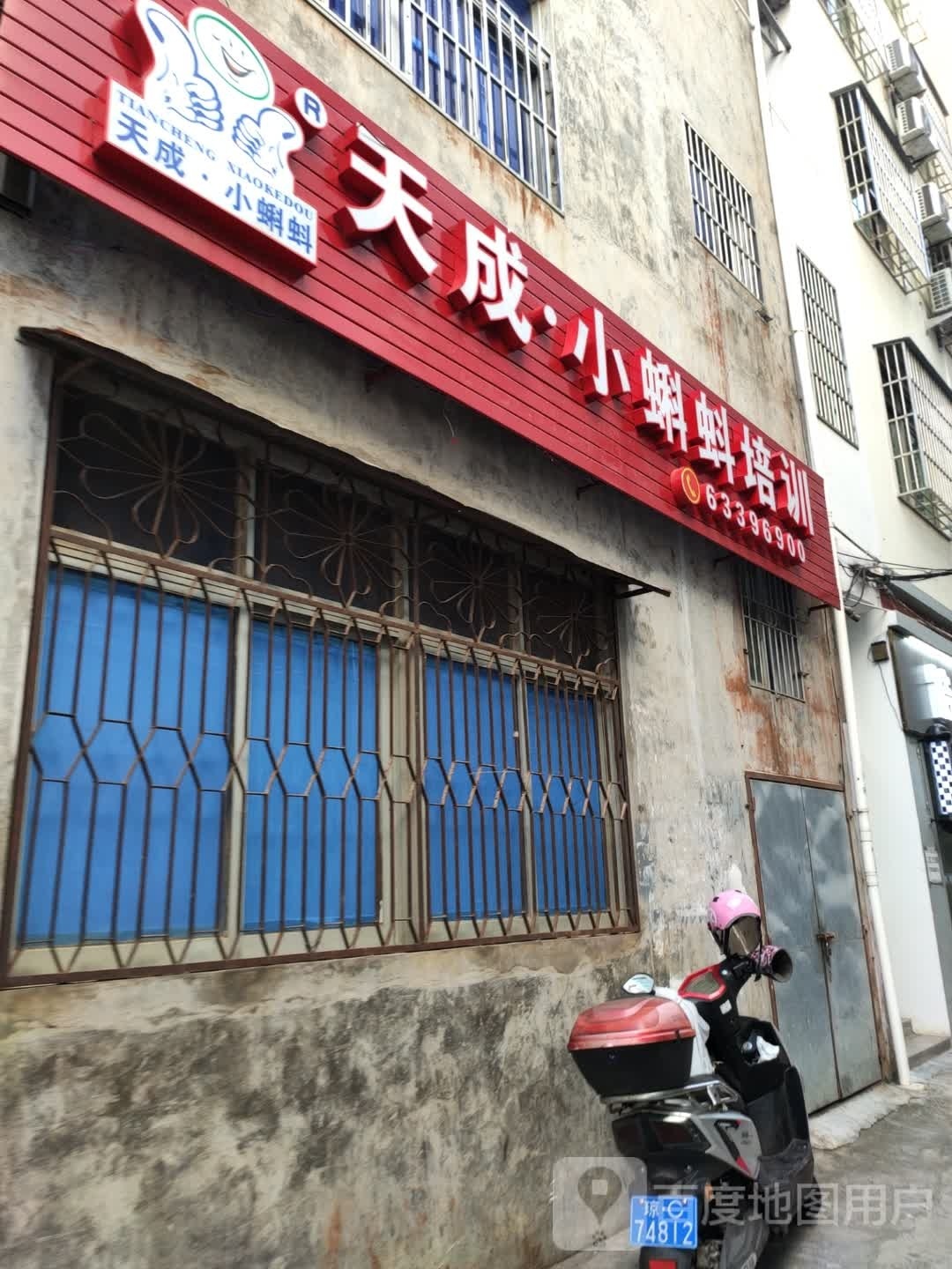 天成·小蝌蚪培训(中学部)