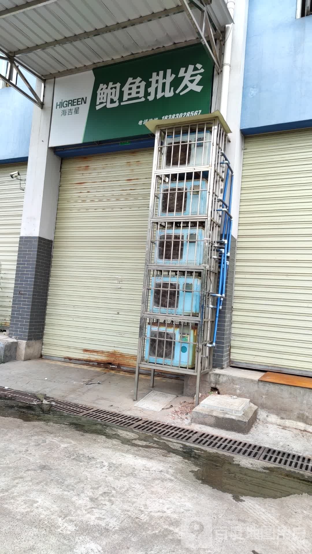 鲍鱼批发