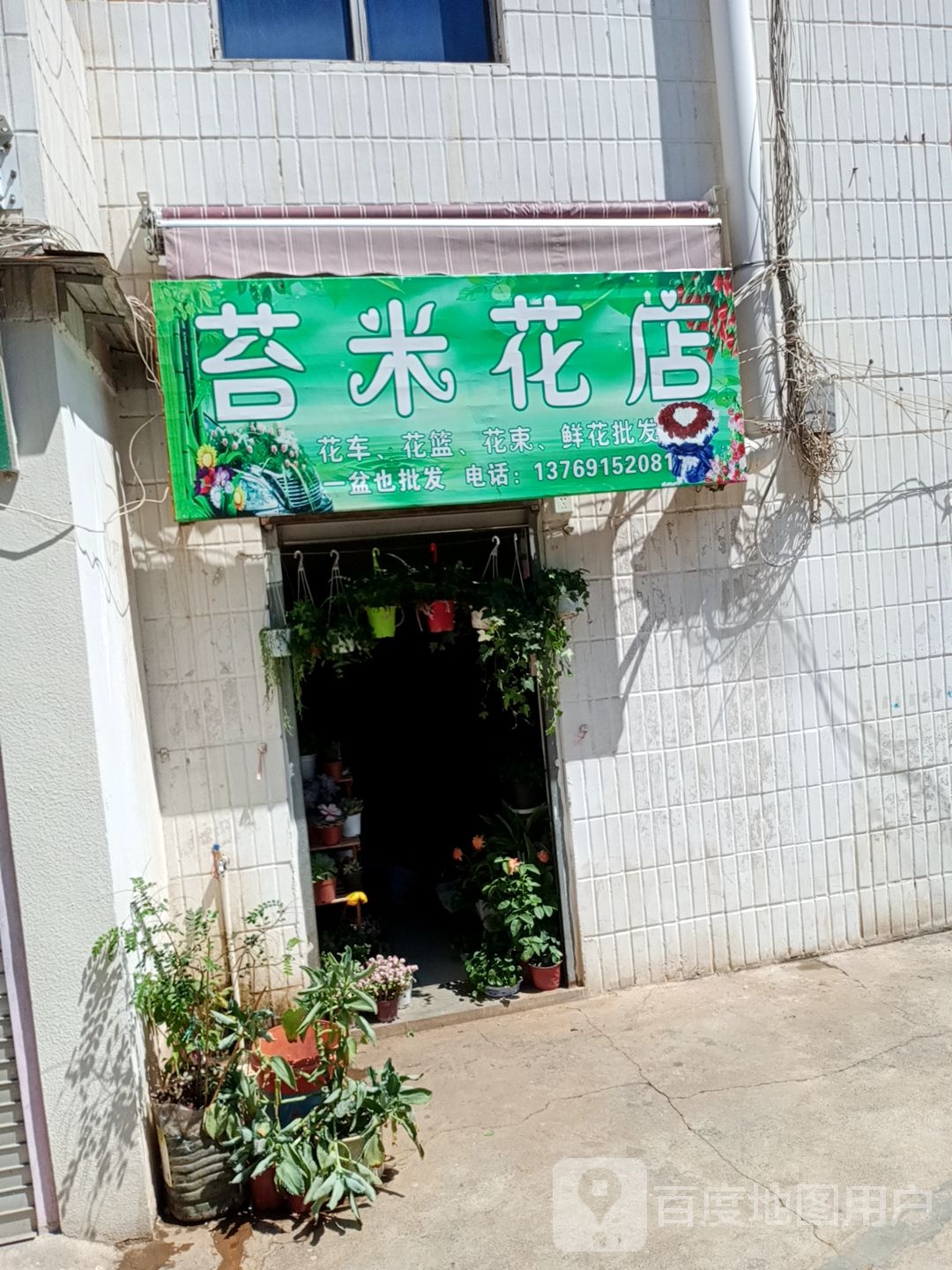 苔米花点