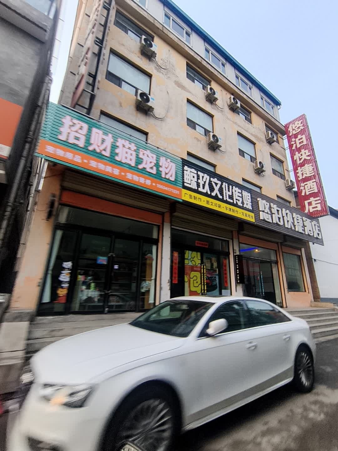 招财猫宠物(鹿家庄店)