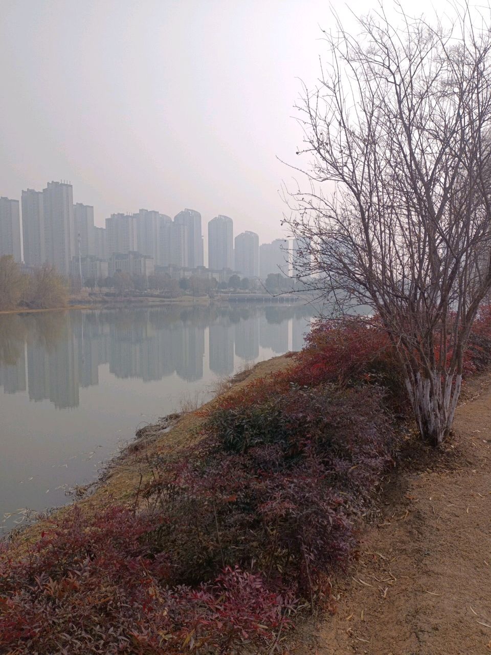 湿地景观区