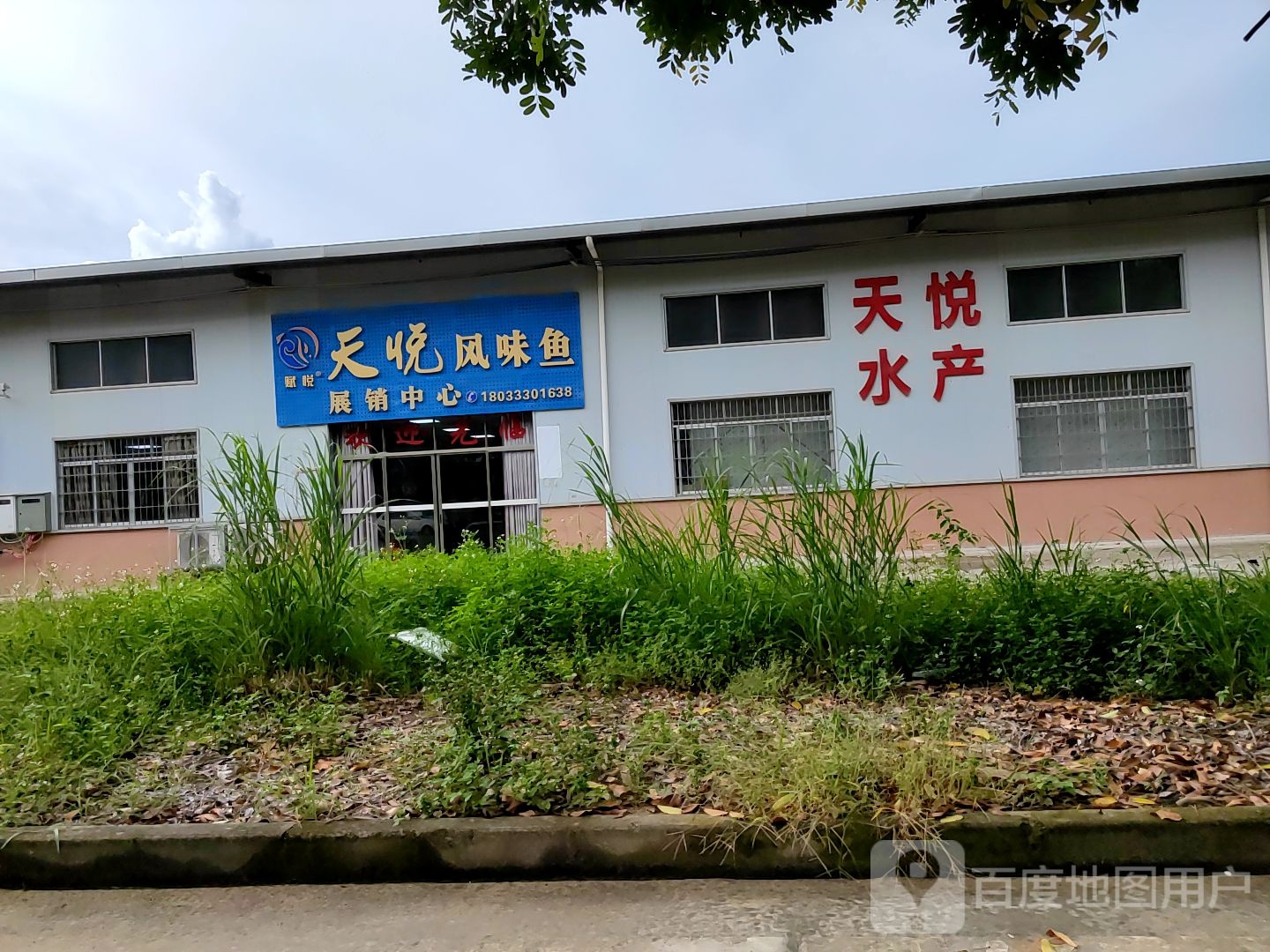 天悦风味鱼展销中心