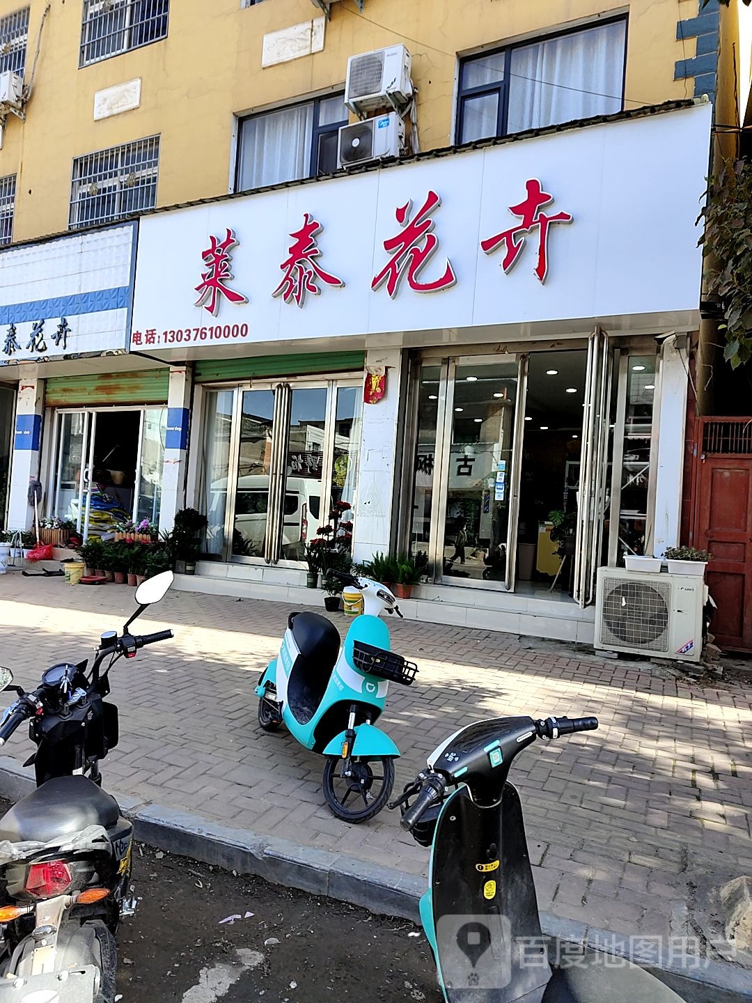 唐河县莱泰花卉店