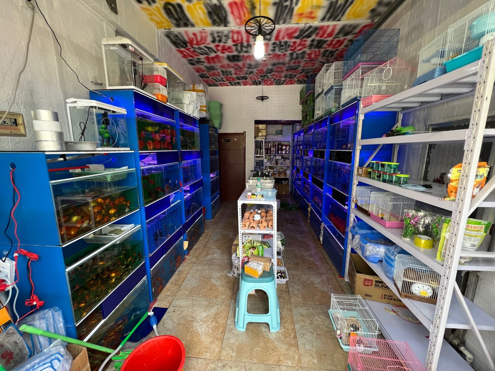刚哥的水族馆(阳光乘风新城公寓店)