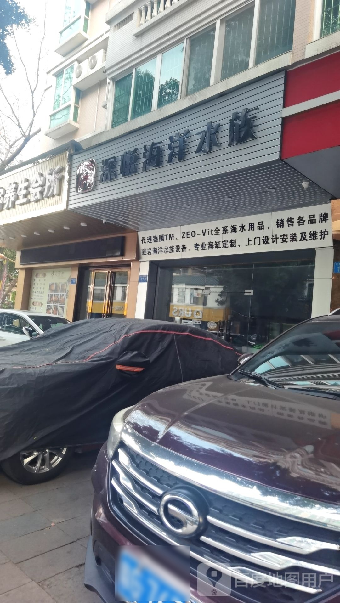 深阅海洋水族(杏林花园店)
