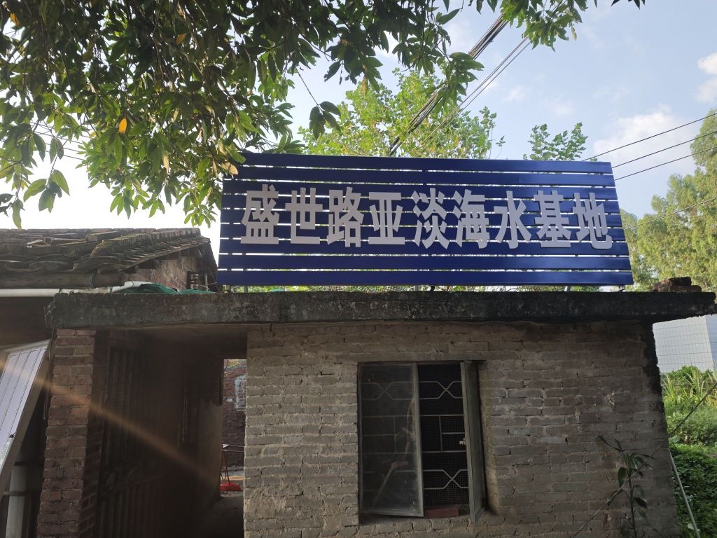 盛世路亚淡海水基地