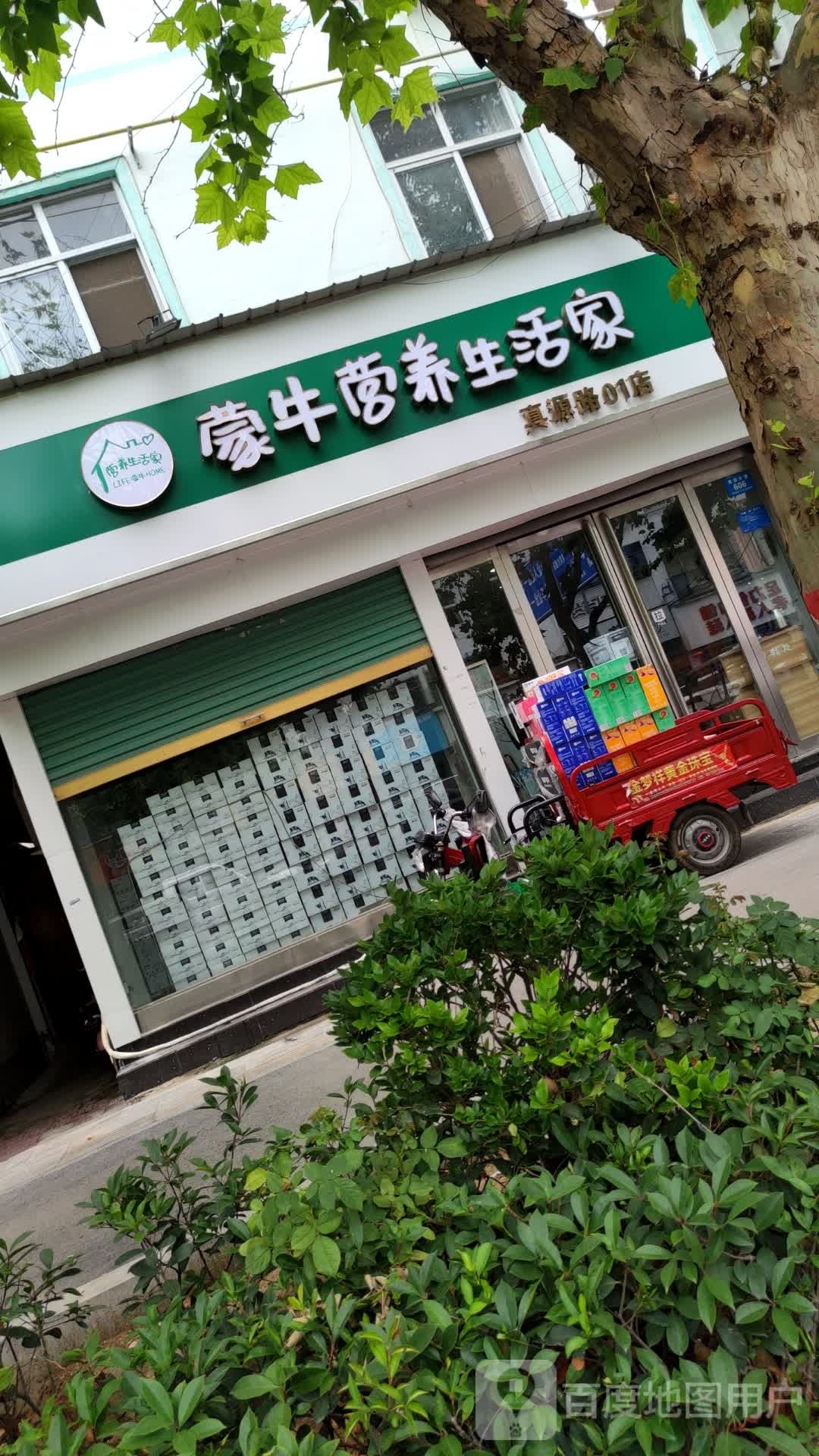 鹿邑县蒙牛营养生活家(真源大道店)