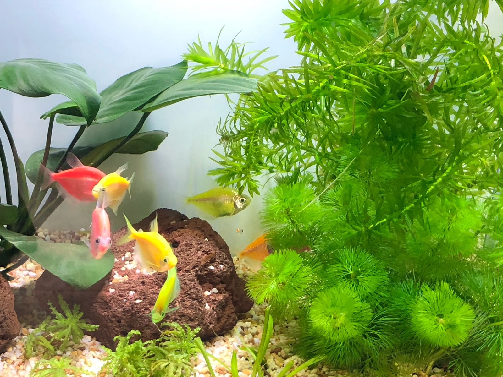 山江水族鱼缸定制批发