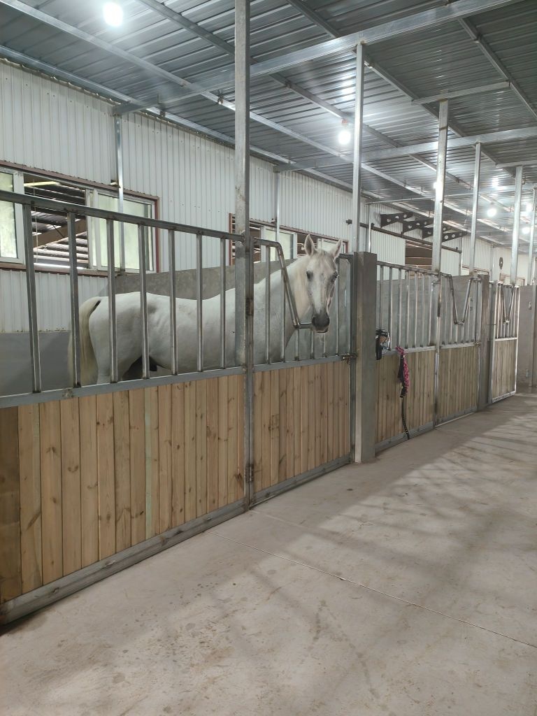 骏洲竞技马术俱乐部