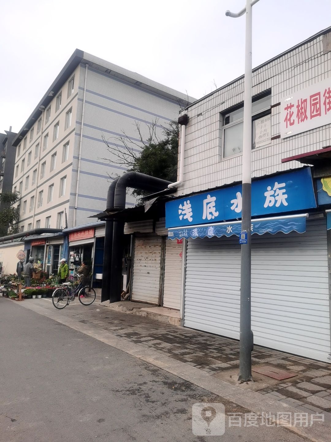 浅底水族