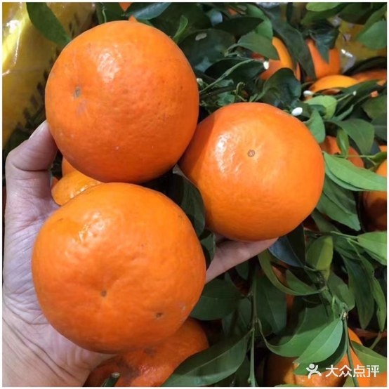 泰国榴莲(东汇名苑B区店)