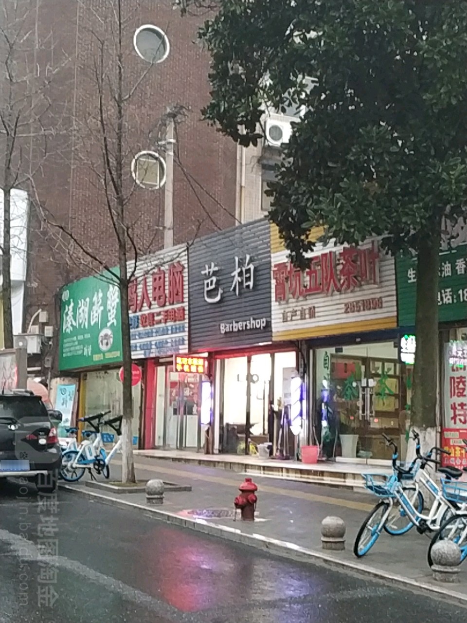 霄坑五队茶叶