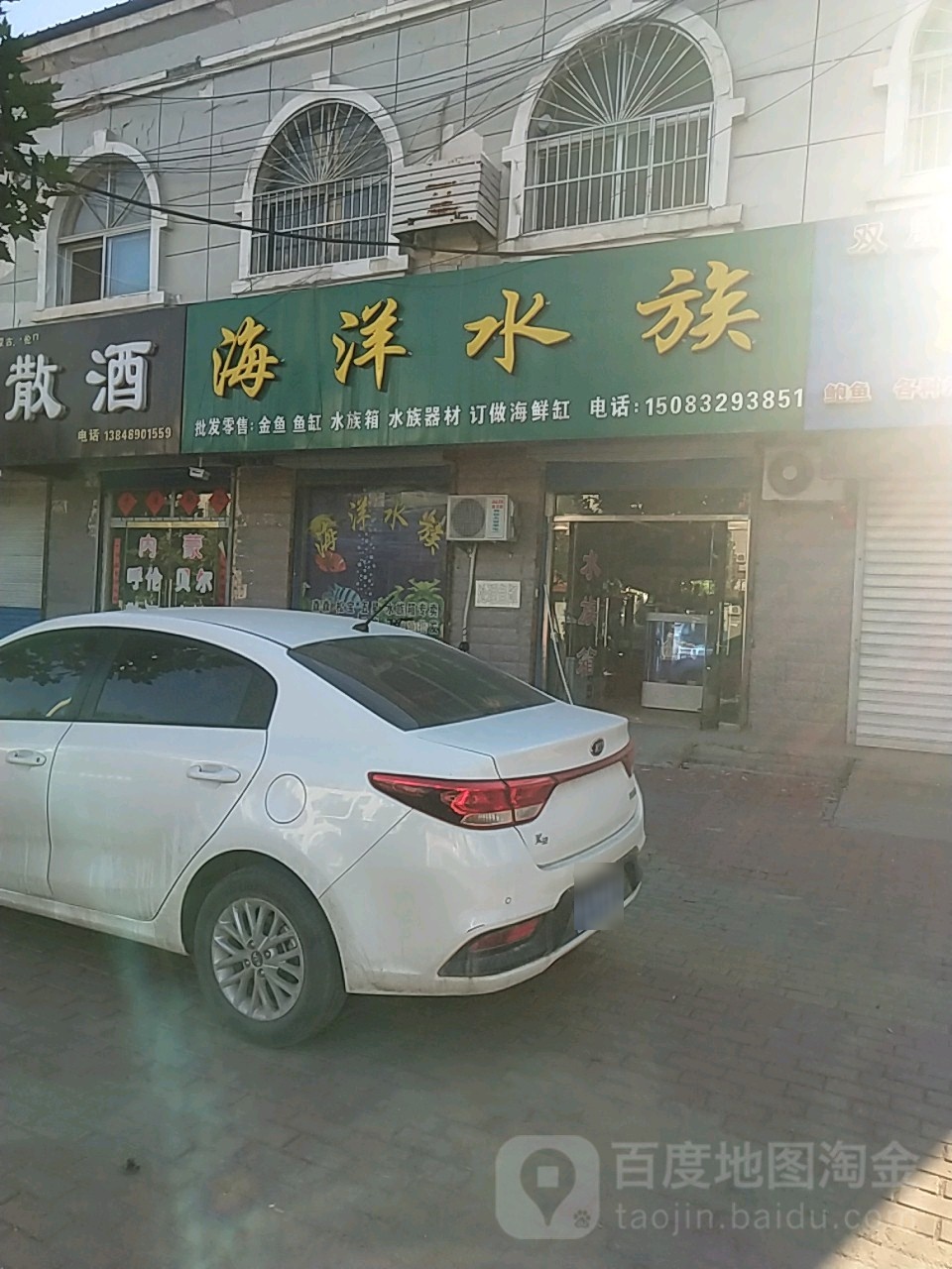 海洋水族