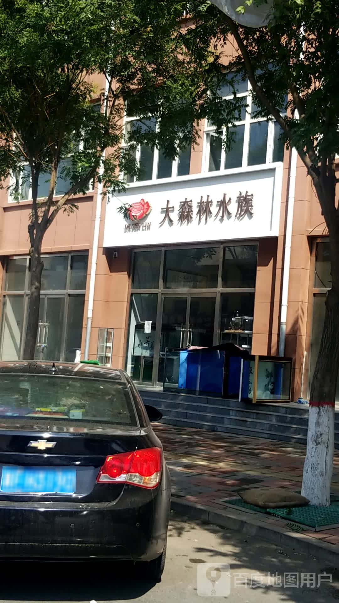 大森林水族