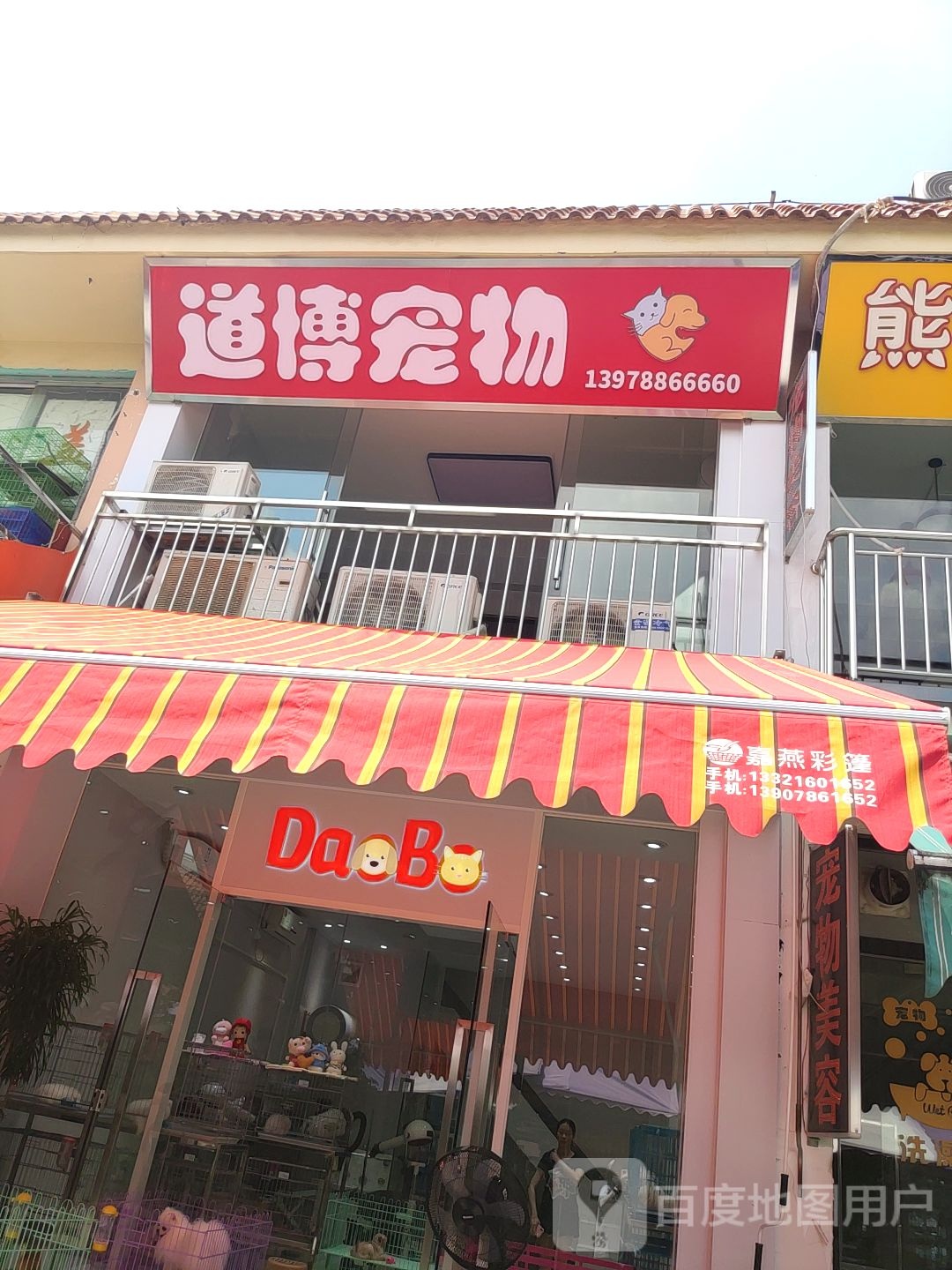 道博宠物(广西花鸟交易市场店)