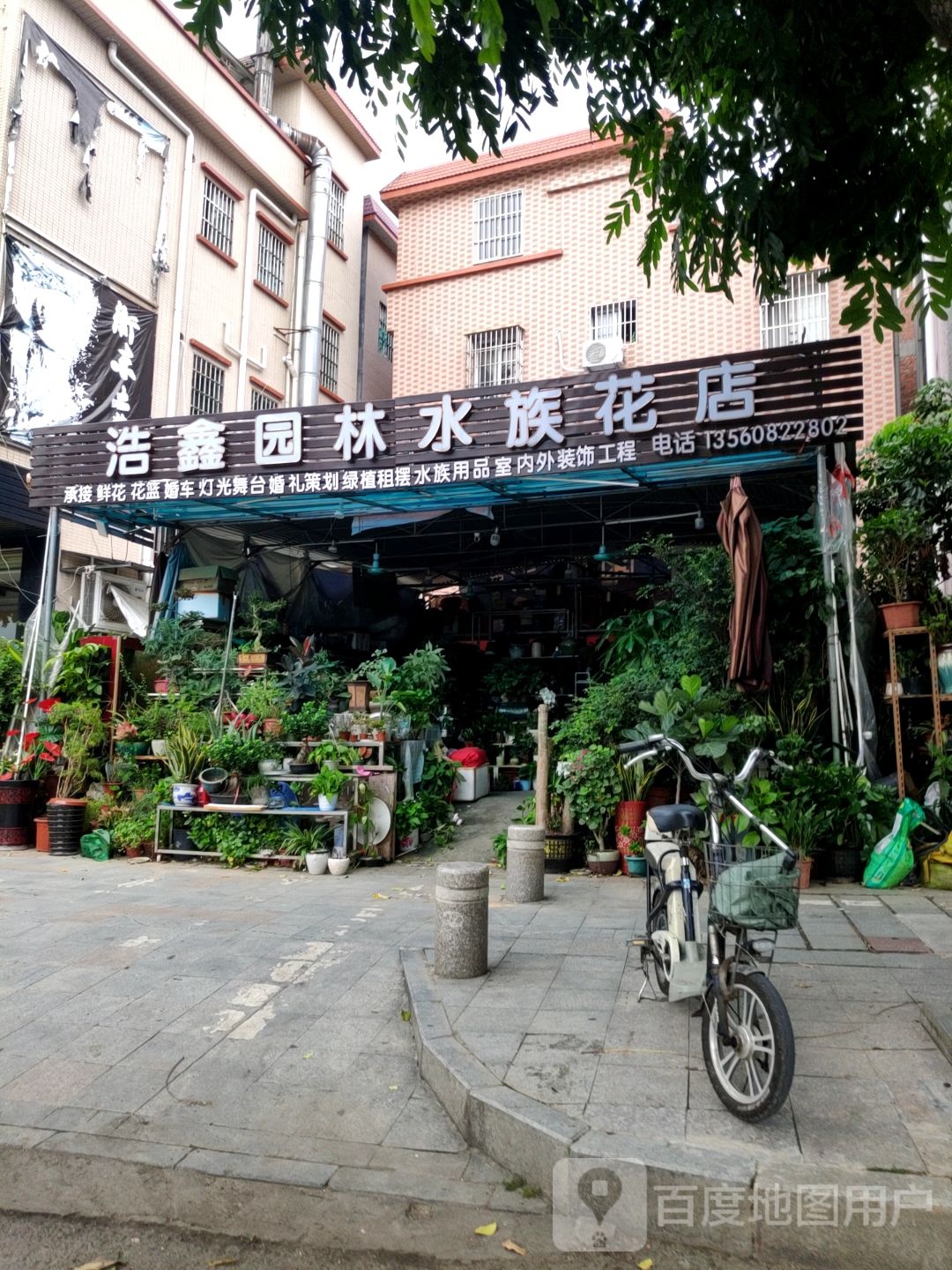 浩鑫园林水族花店