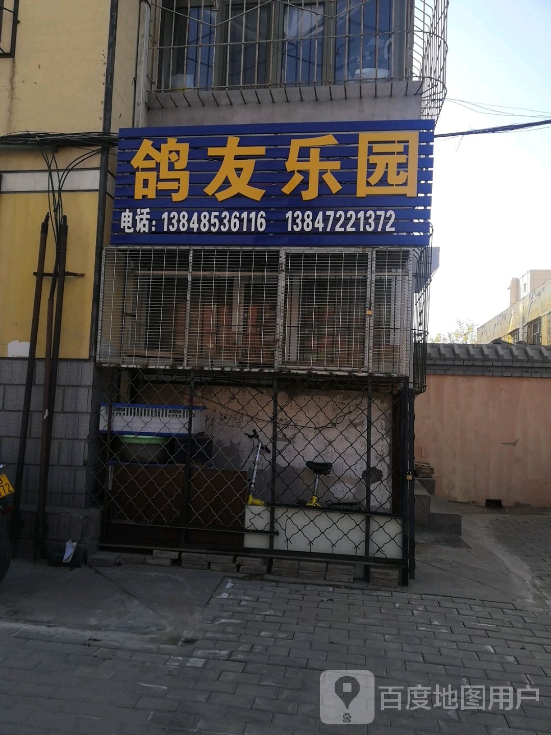鸽友乐园