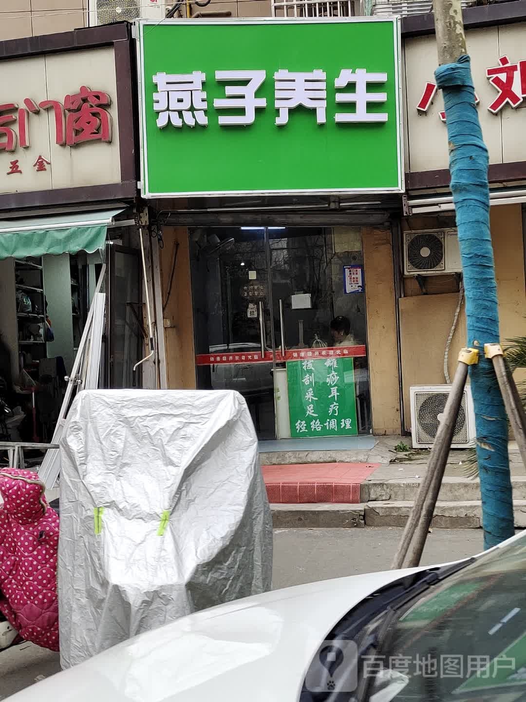 燕子养生