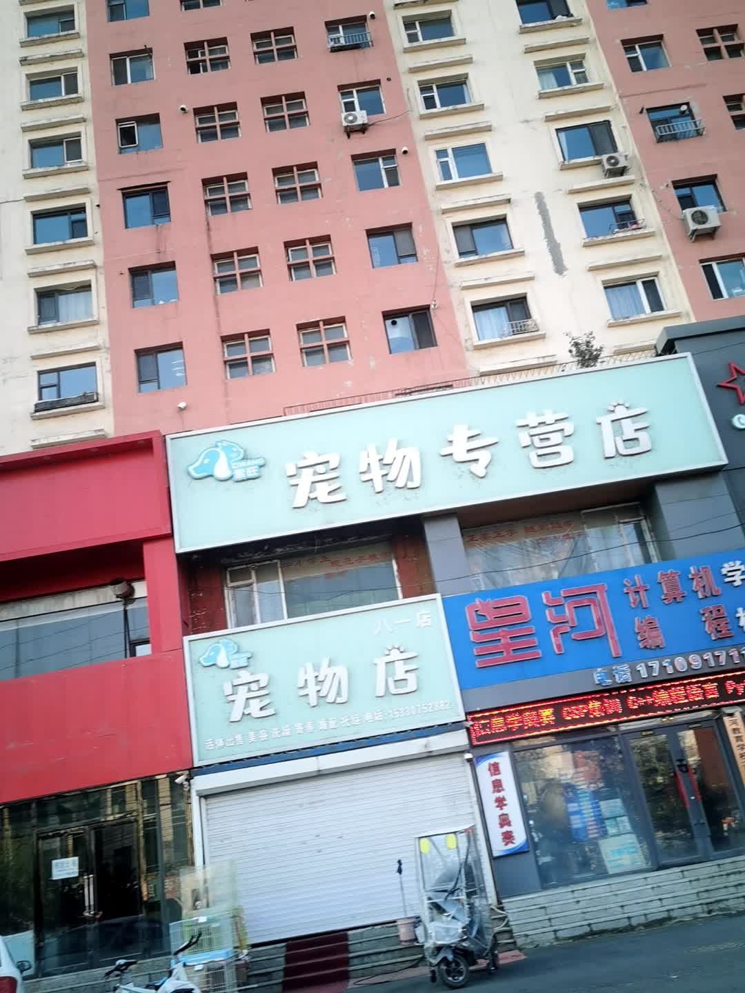 紫旺宠物店(八一店)