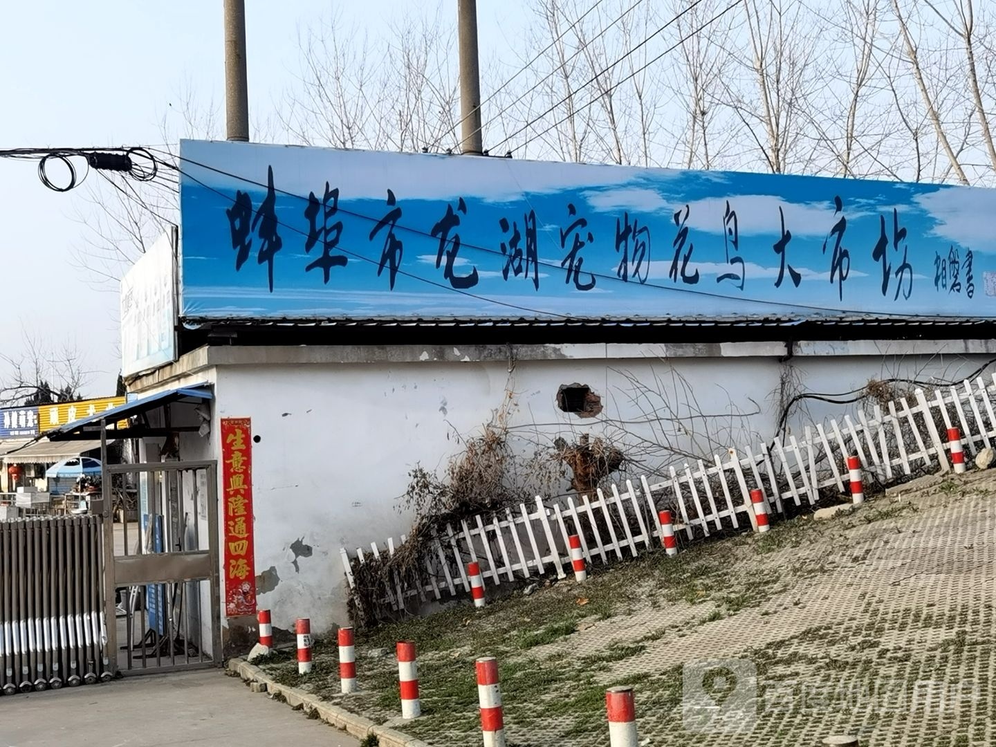 蚌埠市龙湖宠物花鸟大市场