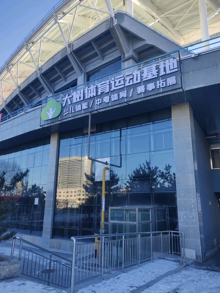 大树体育运动基地