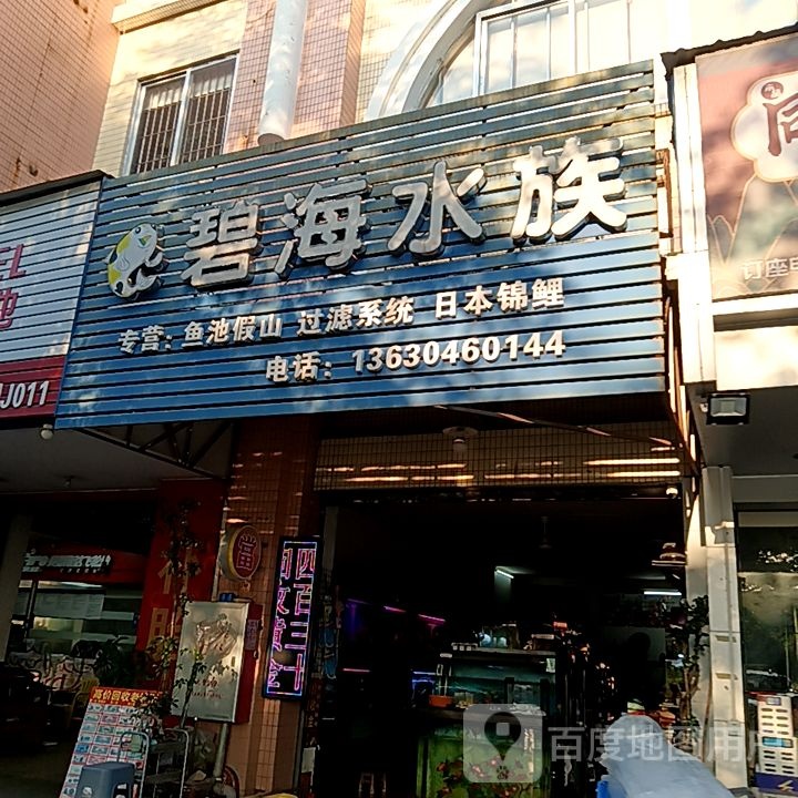 碧海水族(昌大昌广场店)