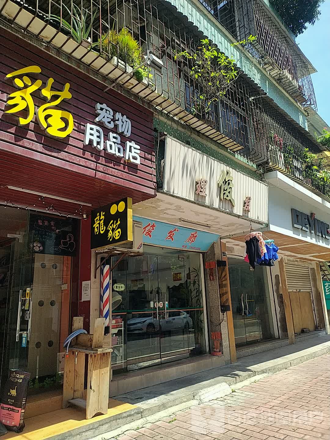 龙猫宠物用品店