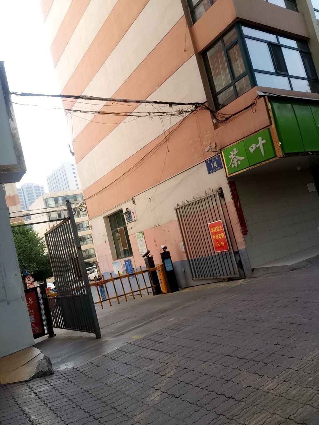 茶叶