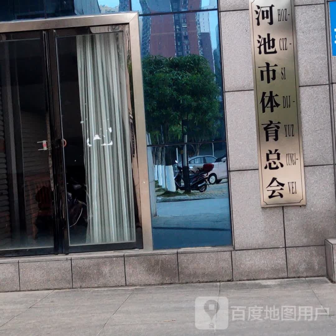 河池市体育总会