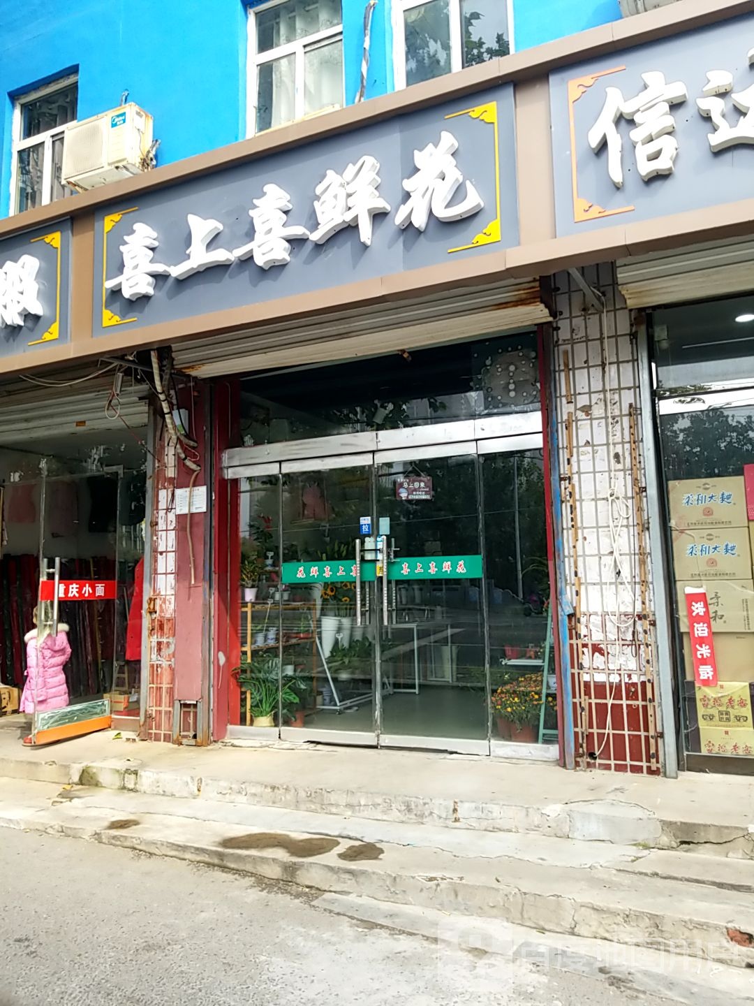 喜上喜鲜花